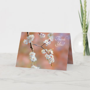 Tarjeta De Agradecimiento Clusters De Flores De Ápricot Japonesas