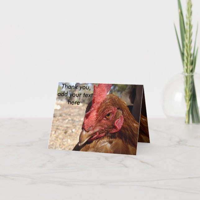 Tarjeta De Agradecimiento Cobarde De Pollo, Añade Tu Mensaje, (Anverso)