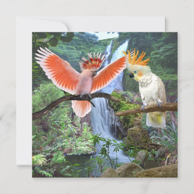 TARJETA DE AGRADECIMIENTO COCKATOO PARROS EN PARAÍSO (Anverso)