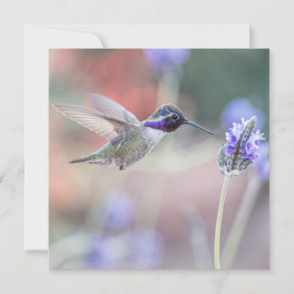 Tarjeta De Agradecimiento Colibrí con Lavender I