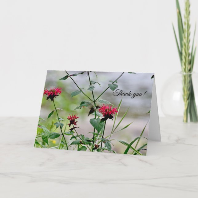 Tarjeta De Agradecimiento Colibrí en las flores - ADK (Anverso)