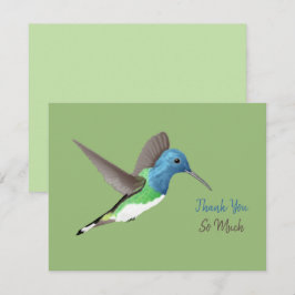 Tarjeta De Agradecimiento Colibrí Jacobino de Cintura Blanca levitando - tra