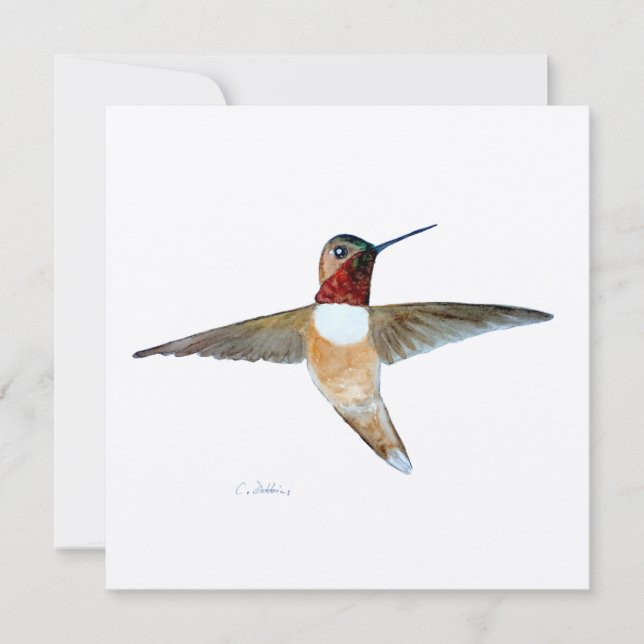 Tarjeta De Agradecimiento Colibrí rufoso (Anverso)
