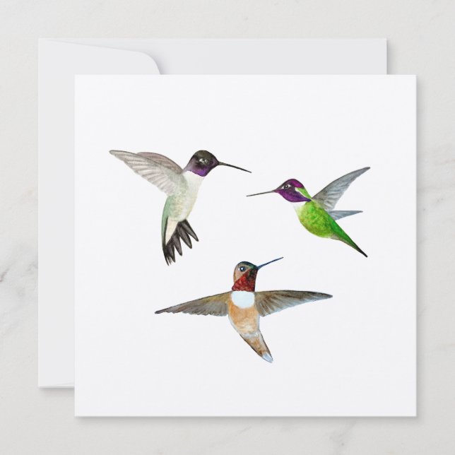 Tarjeta De Agradecimiento Colibríes de cuernos negros, rufiosos y Anna (Anverso)