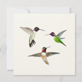 Tarjeta De Agradecimiento Colibríes de cuernos negros, rufiosos y Anna