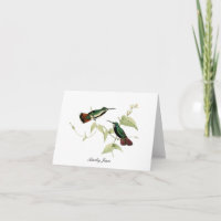 Colibríes y flor Doblada
