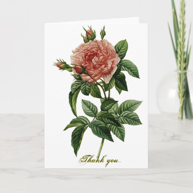 Tarjeta De Agradecimiento Color de rosa hermoso (Anverso)