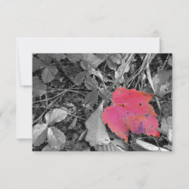 Tarjeta De Agradecimiento Color Pop Red Leaf