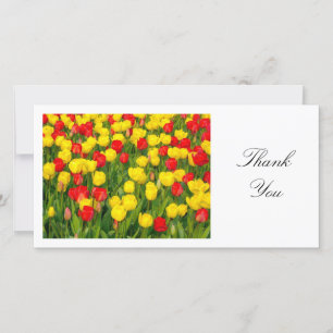 Tarjeta De Agradecimiento Coloridos Tulipanes II - Gracias