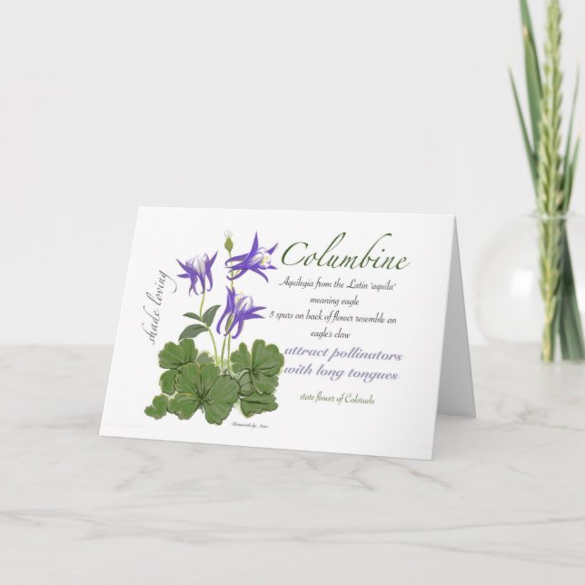 Tarjeta De Agradecimiento Columbine Blank Card (Anverso)