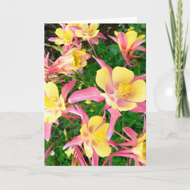 Tarjeta De Agradecimiento Columbines rosado y amarillo (Anverso)