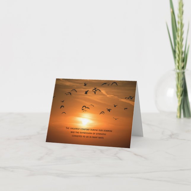 Tarjeta De Agradecimiento Compasión por las gaviotas de sol Gracias (Anverso)
