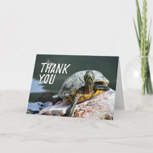 Tarjeta de agradecimiento con foto de tortuga ador