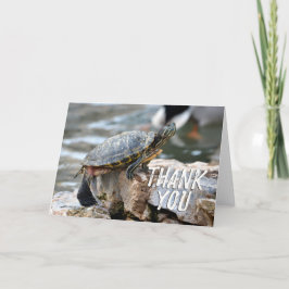 Tarjeta de agradecimiento con foto de tortuga lind