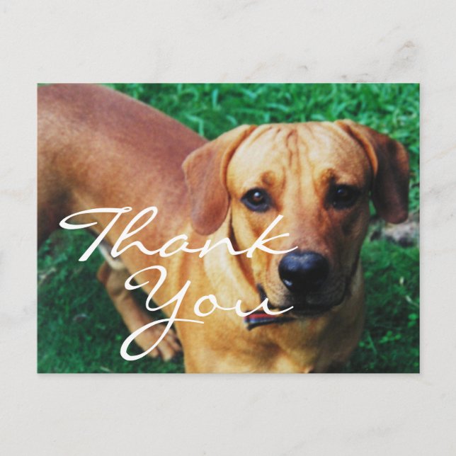 Tarjeta de agradecimiento con foto personalizada (Anverso)