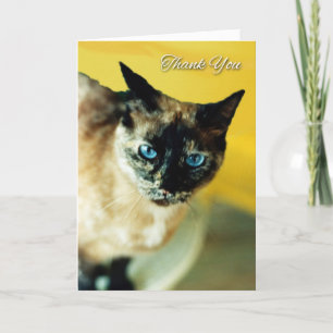 Tarjeta de agradecimiento con gato siamés de color