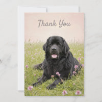 Tarjeta de agradecimiento con un perro Terranova