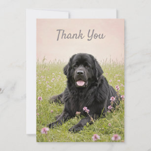 Tarjeta de agradecimiento con un perro Terranova