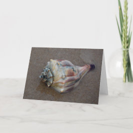 Tarjeta De Agradecimiento Conch Shell en la playa