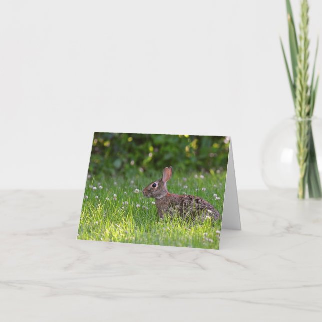 Tarjeta De Agradecimiento Conejo en sobra en blanco dentro de notecard. (Anverso)