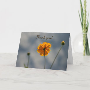 Tarjeta De Agradecimiento Coreopsis amarilla