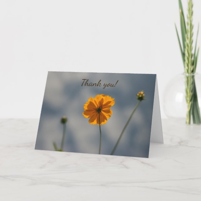 Tarjeta De Agradecimiento Coreopsis amarilla (Anverso)