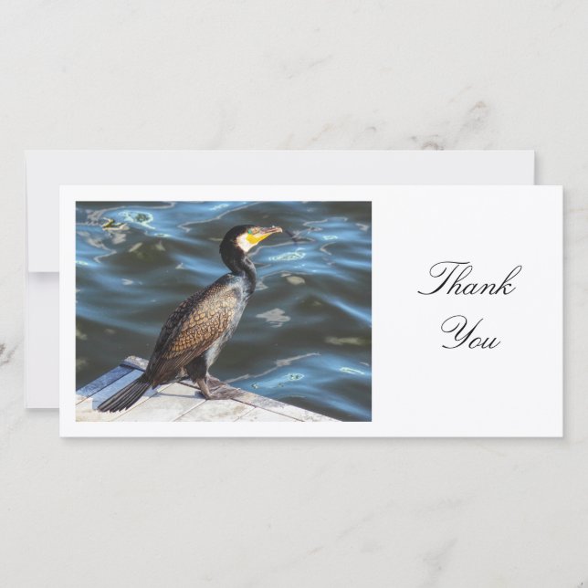 Tarjeta De Agradecimiento Cormorant - Gracias (Anverso)