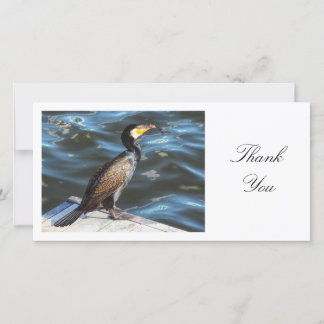 Tarjeta De Agradecimiento Cormorant - Gracias