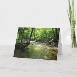 Tarjeta De Agradecimiento "Corriente de bosques"