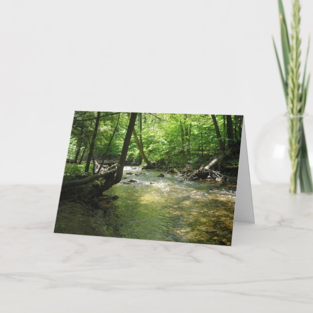 Tarjeta De Agradecimiento "Corriente de bosques" (Anverso)