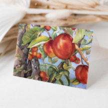 Cosecha de frutas de huerto de cáscara de árbol de