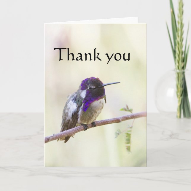 Tarjeta De Agradecimiento Costa's  Hummingbird perched on a branch (Anverso)
