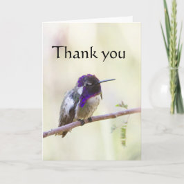 Tarjeta De Agradecimiento Costa's  Hummingbird perched on a branch