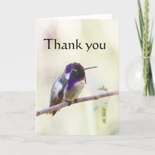 Tarjeta De Agradecimiento Costa's  Hummingbird perched on a branch