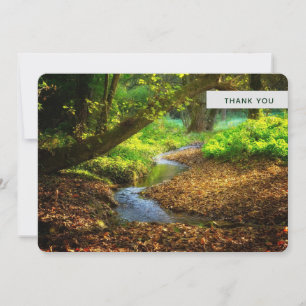 Tarjeta De Agradecimiento Creek forestal Hermoso paisaje natural Foto
