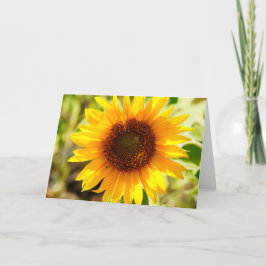 Tarjeta De Agradecimiento Cristiano de la cita de la biblia del día de madre