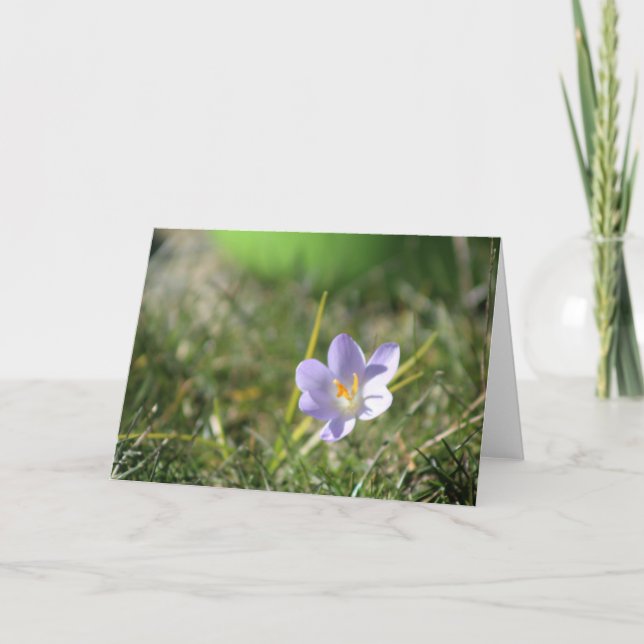Tarjeta De Agradecimiento Crocus Blank (Anverso)