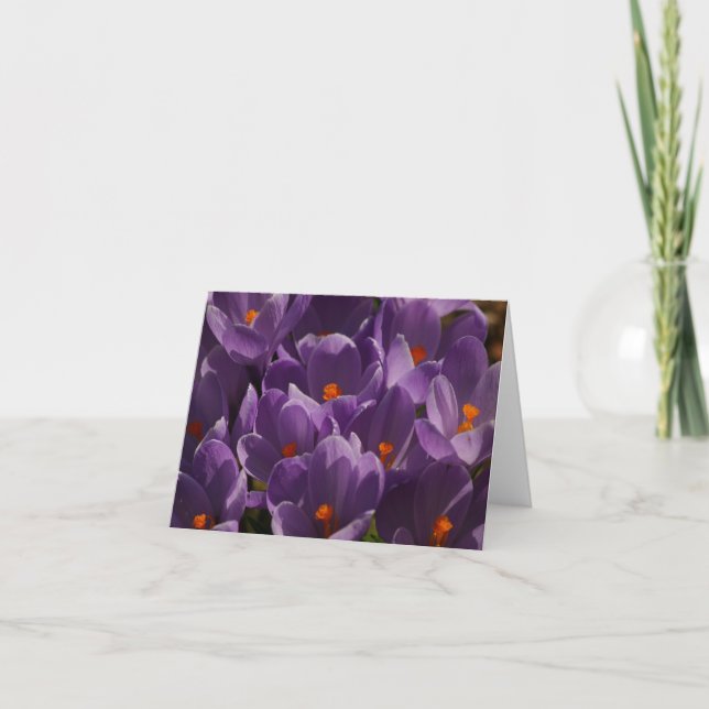 Tarjeta De Agradecimiento Crocus de primavera (Anverso)