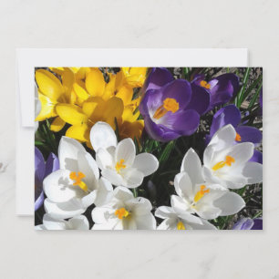 Tarjeta De Agradecimiento Crocus Flower Mix Floral