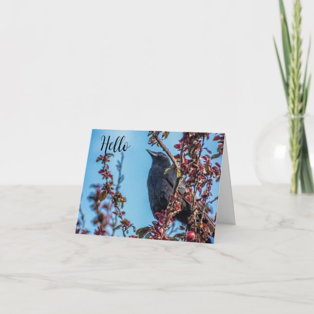 Tarjeta De Agradecimiento Crow Says Hello  (Anverso)