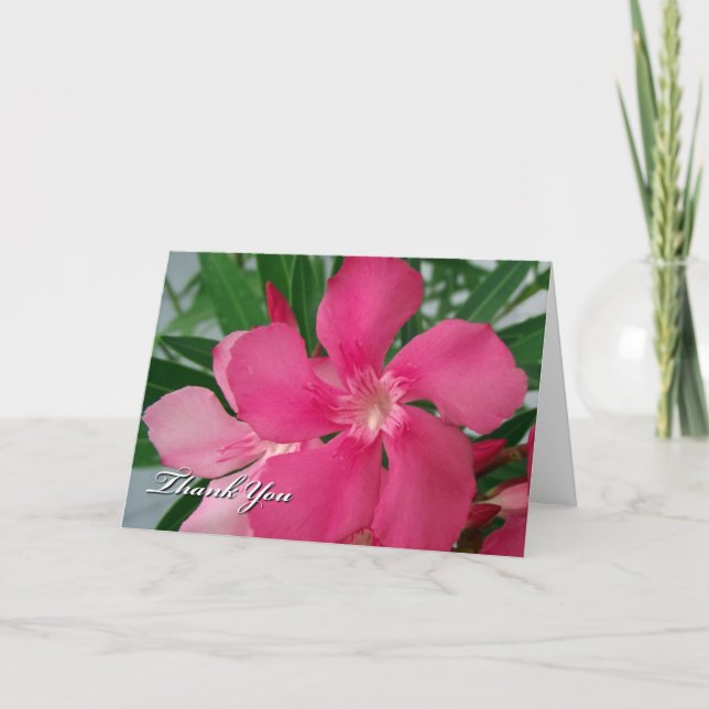 Tarjeta De Agradecimiento Cualquier Ocasión Gracias Flores De Oleander Rosa (Anverso)