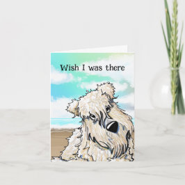 Tarjeta De Agradecimiento Curious Beach Wheaten Terrier Card