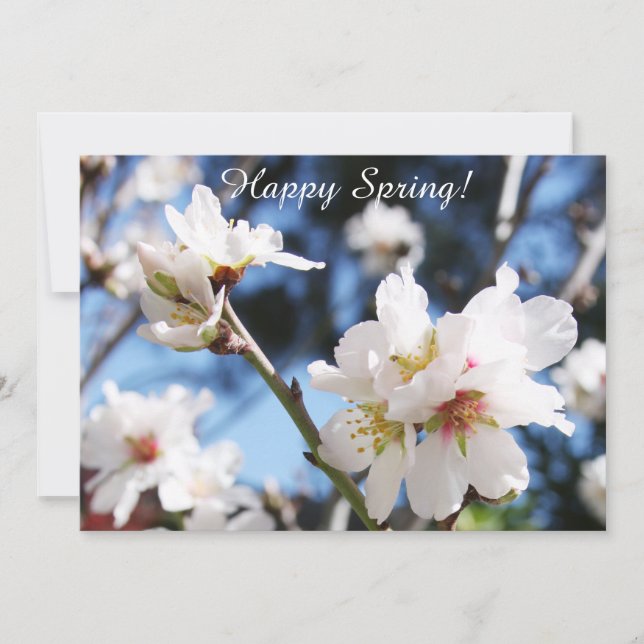 Tarjeta De Agradecimiento Customizable Happy Spring Card  (Anverso)