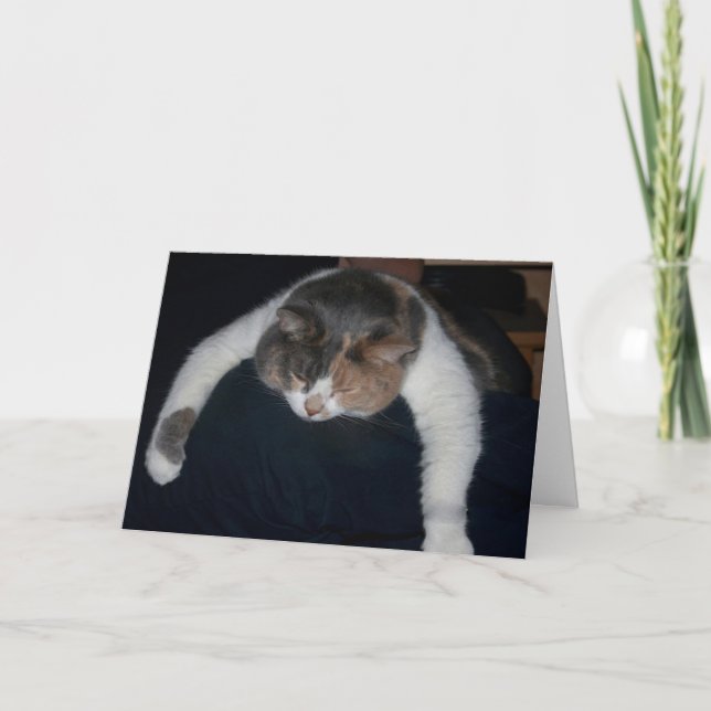 Tarjeta De Agradecimiento Cute Calico Dormiendo Gato Sobre Hombro (Anverso)