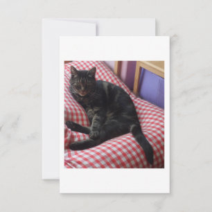 Tarjeta De Agradecimiento Cute Dave Flat Gracias Cartas