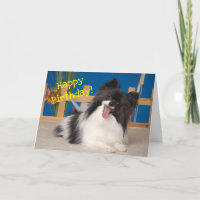 Cute Dog Birday Card, Papillon