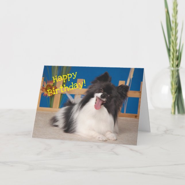 Tarjeta De Agradecimiento Cute Dog Birday Card, Papillon (Anverso)