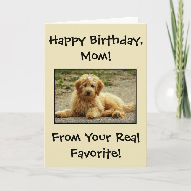 Tarjeta De Agradecimiento Cute Happy Birthday Card De La Foto Del Perro (Anverso)
