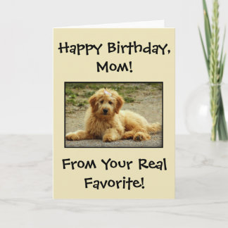 Tarjeta De Agradecimiento Cute Happy Birthday Card De La Foto Del Perro