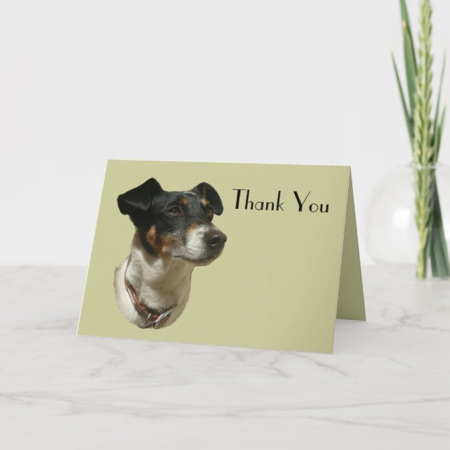 Tarjeta De Agradecimiento Cute Jack Russell Dog (Anverso)